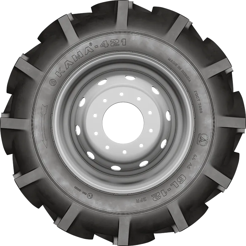 KAMA-421 в Александровске — KAMA TYRES KAMA-421 в Александровске